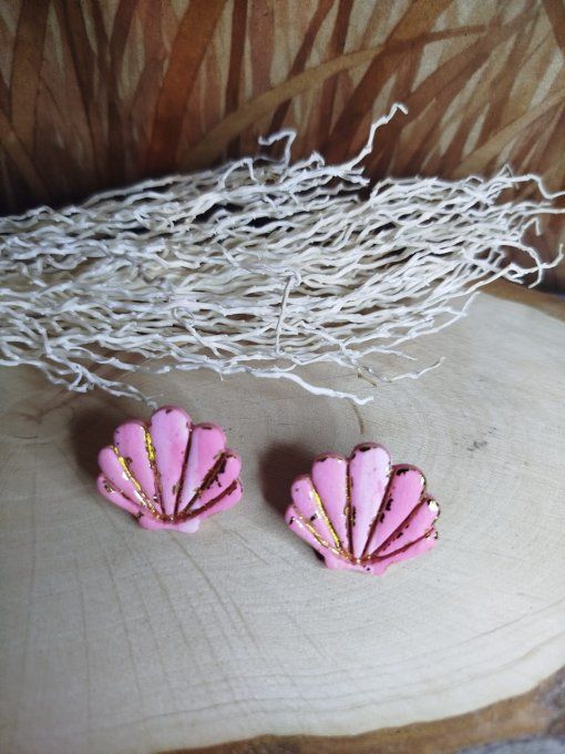 Collection : "Coquillage"