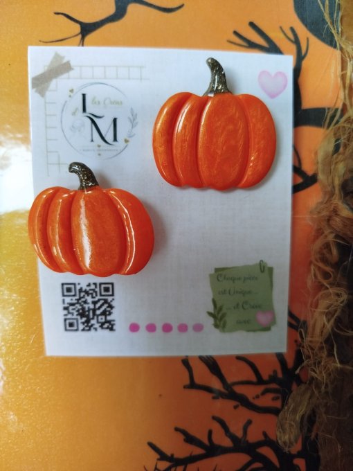 Collection Citrouilles d'Automne