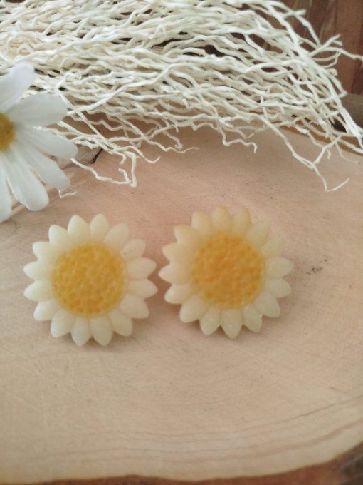 Collection : "Tournesol"