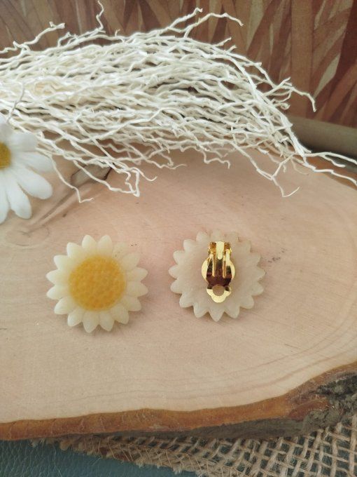 Collection : "Tournesol"