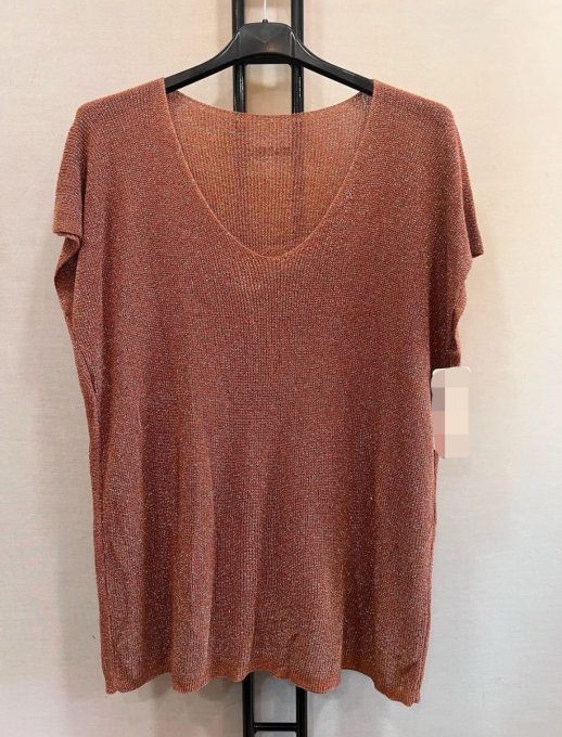 Top en Maille Brillante à Col V | Lmstyle